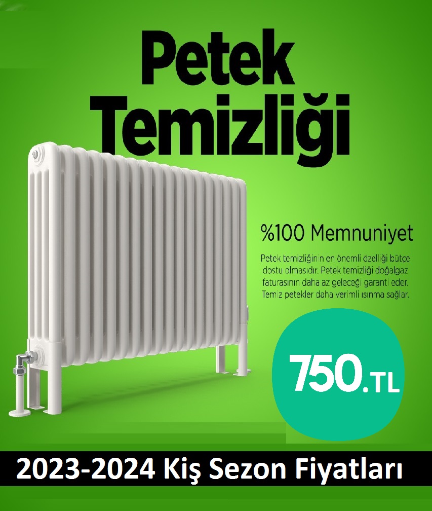 ŞİŞLİ Petek Temizliği Tek Fiyat Teklifi Al
